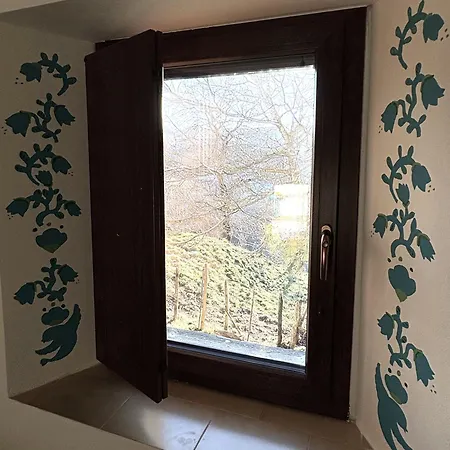 Bosco Stellato Casteldelci